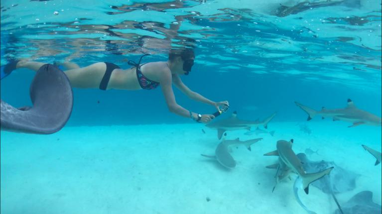 selfies avec les requins sur haapiti tiahura 